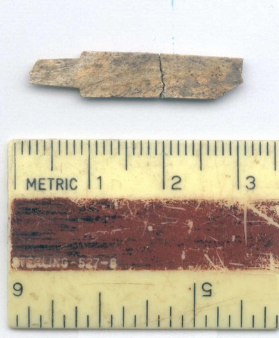 fragment