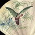les ailes de l'ventail